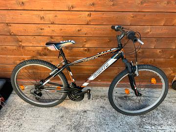 Bici MTB Rosato Vertical 26’