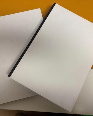 2 album Leporello BiancoA Soffietto / Fisarmonica