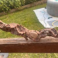 tronco decorativo naturale com pietre pezzo unico