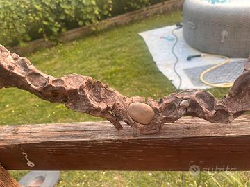 tronco decorativo naturale com pietre pezzo unico