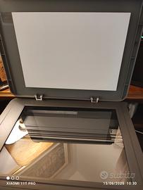 stampante stampante HPLaser MFP 135w