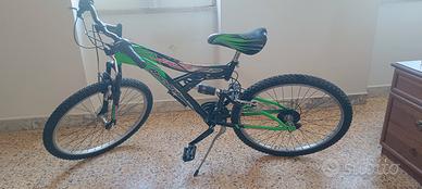bicicletta 