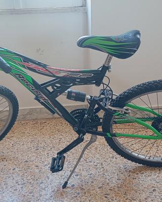 bicicletta 