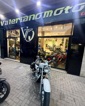 Harley-davidson 883C Sportster Custom XL VALERIANO