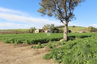 TER. AGRICOLO A ISOLA DI CAPO RIZZUTO
