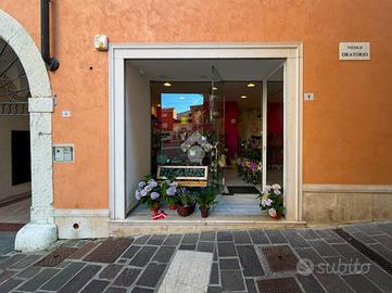 ATTIVITÀ A DESENZANO DEL GARDA