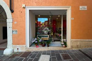 ATTIVITÀ A DESENZANO DEL GARDA