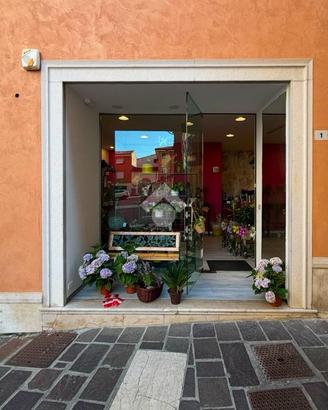 ATTIVITÀ A DESENZANO DEL GARDA