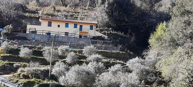 Casa indipendente