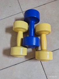 pesi manubri 2 Kg