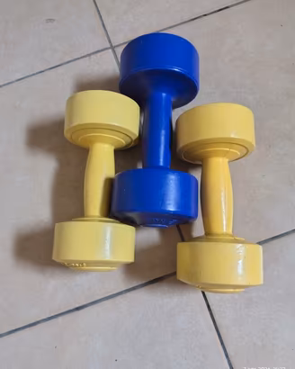 pesi manubri 2 Kg