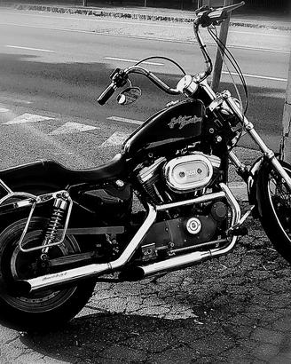 harley davidson 883 custom 
