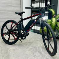 mountain bike bici elettrica