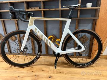 Canyon Special Edition 2026