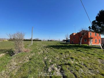 14 campi con casetta