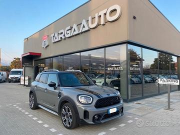 Mini Mini Countryman 2.0 Cooper S All4 all4 auto