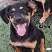 Karen: 4 mesi carattere equilibrato e dolce