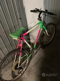 Mountain bike