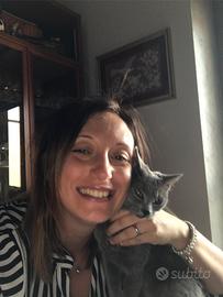 Assistenza anziani a ore, addetta alle pulizie