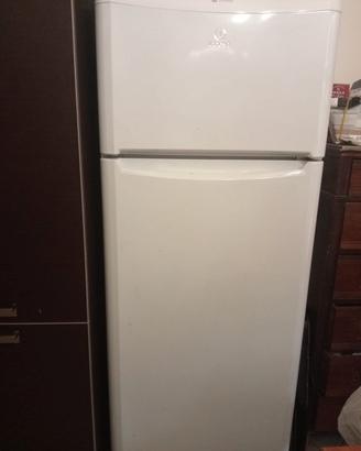 Frigo 