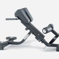 Technogym Panca Lower Back 