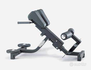 Technogym Panca Lower Back 