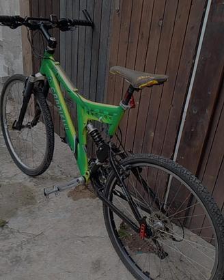 mountain bike