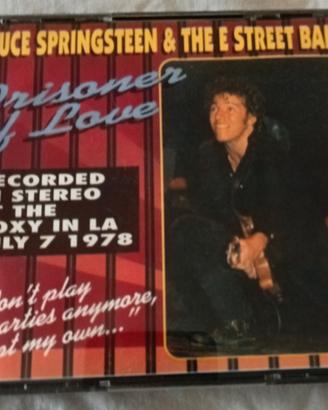 Bruce Springsteen 