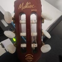 Godin Multiac Acs Sa manico largo