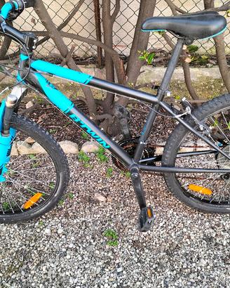 bicicletta per ragazzi 