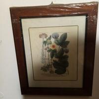 Quadretti con cornice in legno