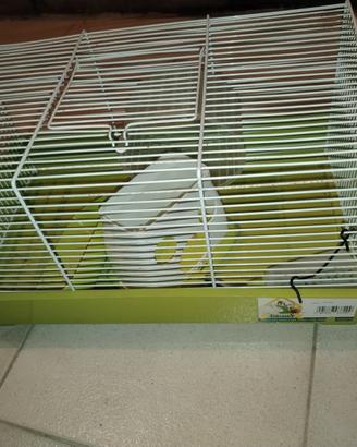 Gabbietta per criceto