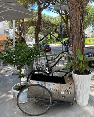 Bici custom cargo Artigianale - Unica nel suo gene