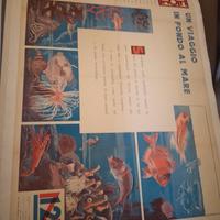 manifesto poster pubblicitario ente radio rurale