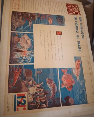 manifesto poster pubblicitario ente radio rurale