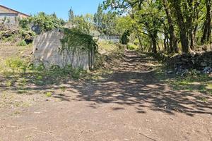 Terreno mq.8000 con casetta rustica