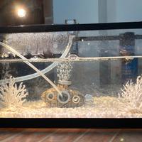 Acquario completo di tutti gli accessori 