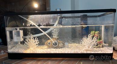 Acquario completo di tutti gli accessori 