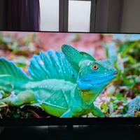 TV Panasonic OLED 4K MZ1500E 55''