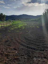 Terreno Agricolo Massarosa