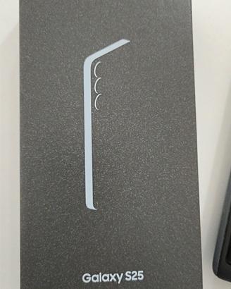 Samsung Galaxy S25 