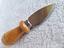 Immagine 5