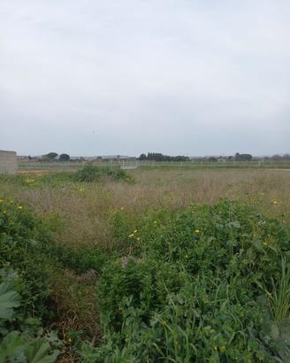 Sestu, terreno edificabile mq 7324