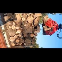 Polipo per escavatore