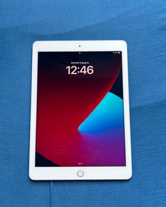 iPad Pro (9,7”); Cover in pelle; Apple Pencil