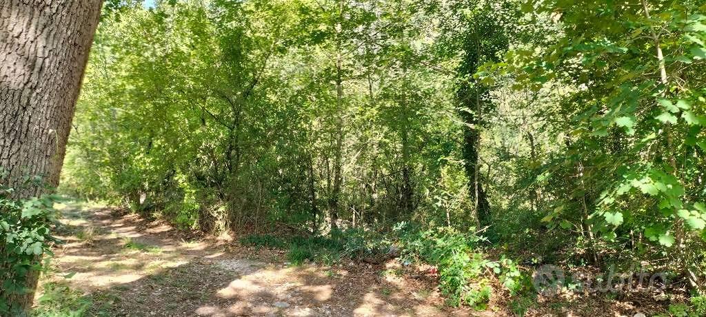 Terreno di 40000 m² a Arrone - Vista 4