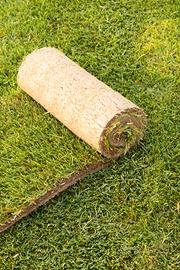 Prato Pronto rotoli  Puglia Basilicata Calabria