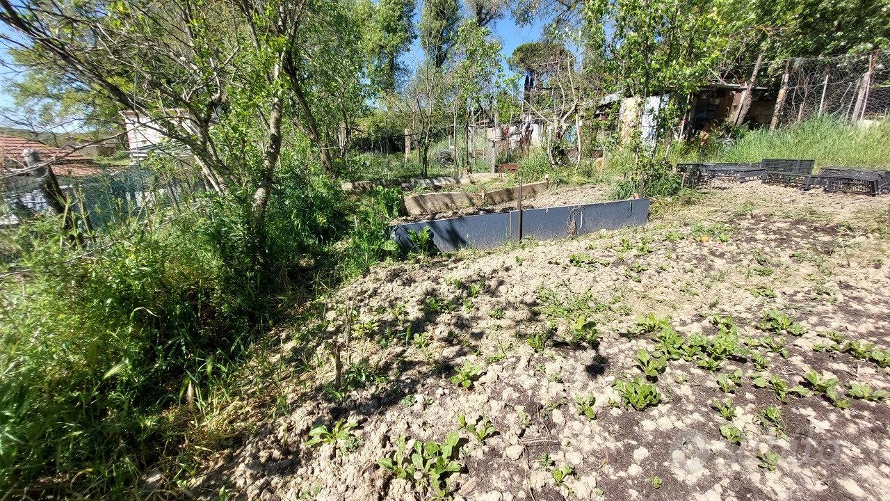 Agricolo a Asciano - Altro