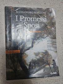Libro di testo: i promessi sposi