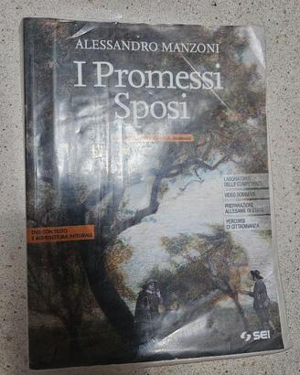Libro di testo: i promessi sposi